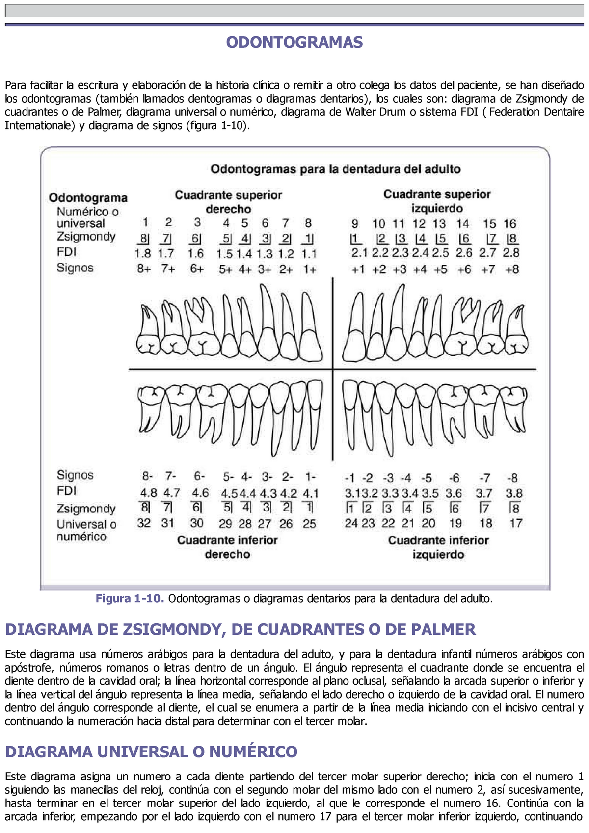 Anatomia Dental - Libro completo - ODONTOGRAMAS Para facilitar la escritura  y elaboración de la - Studocu