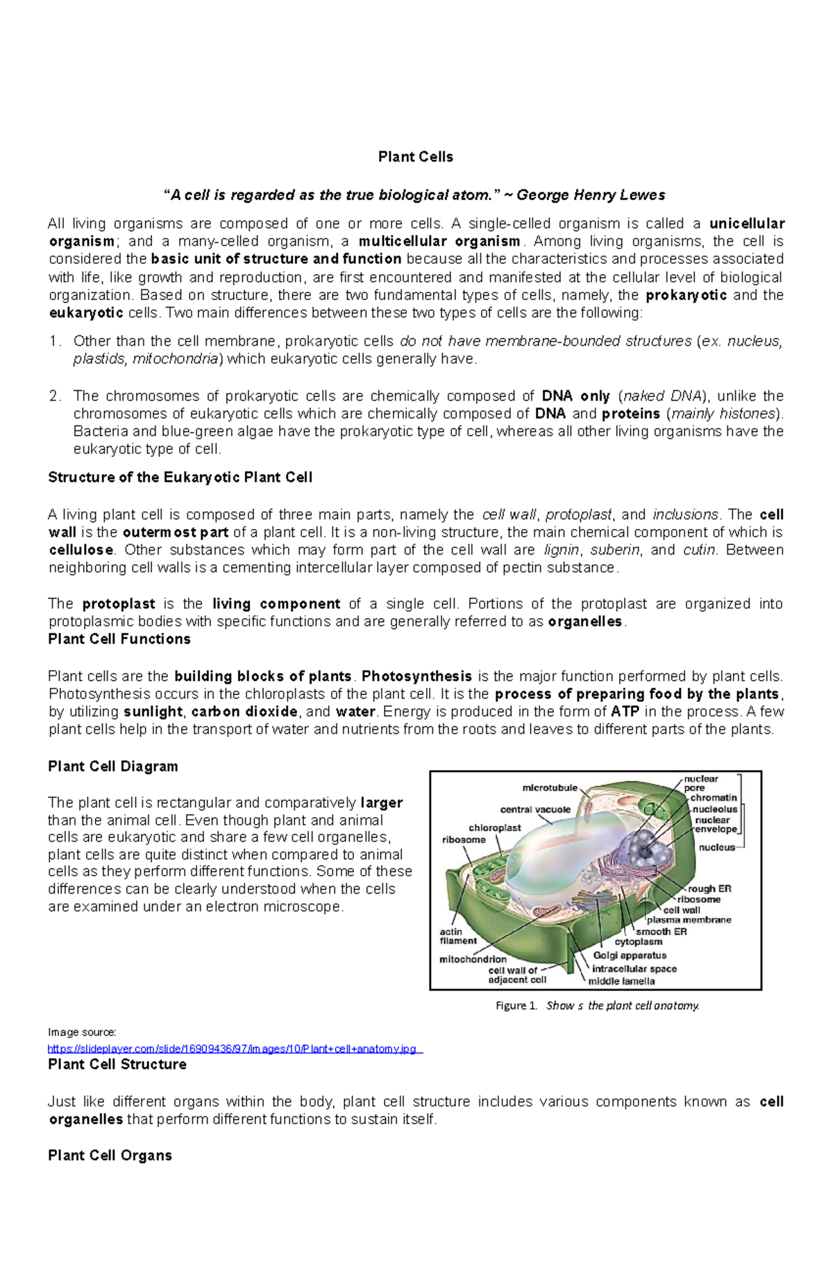 Plant Cells - Plant Cells “A cell is regarded as the true biological ...