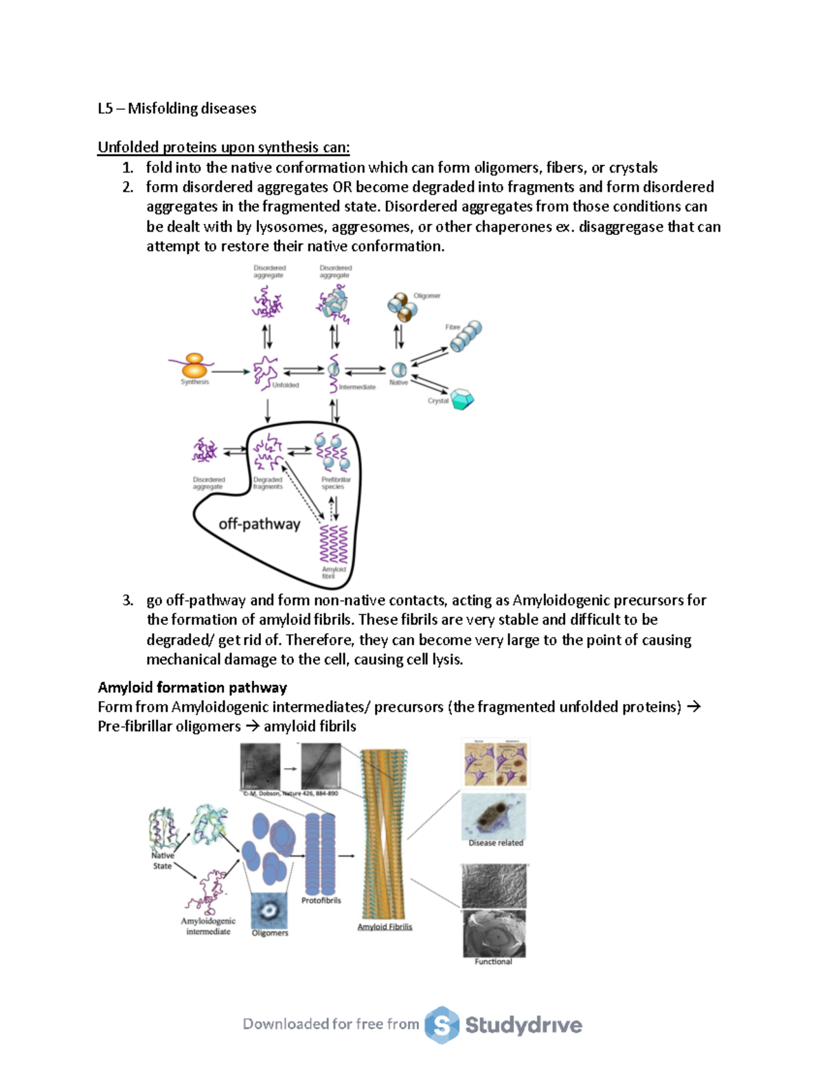 Cota PF - L5 - Cota PF - L5 - Essential Cell Biology - L5 – Misfolding ...