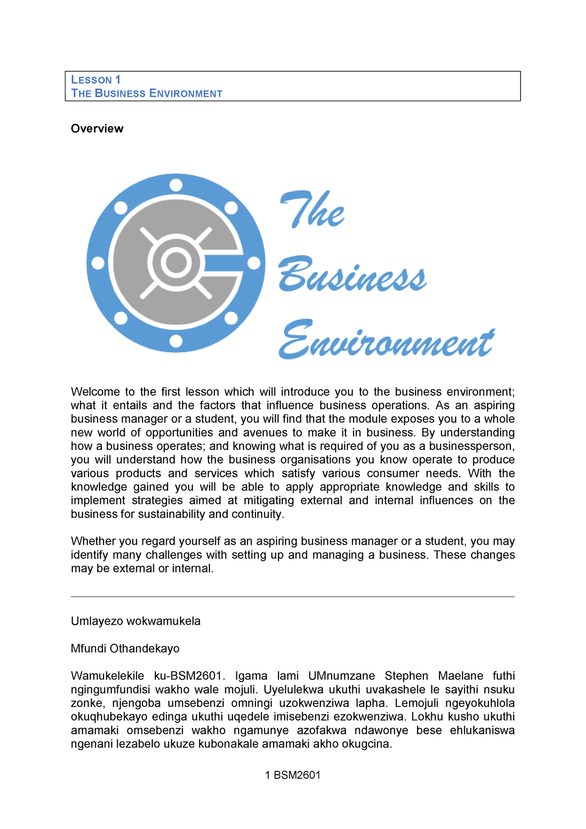 BSM2601 B0 LS05 10042970 - LESSON 1 THE BUSINESS ENVIRONMENT Overview ...