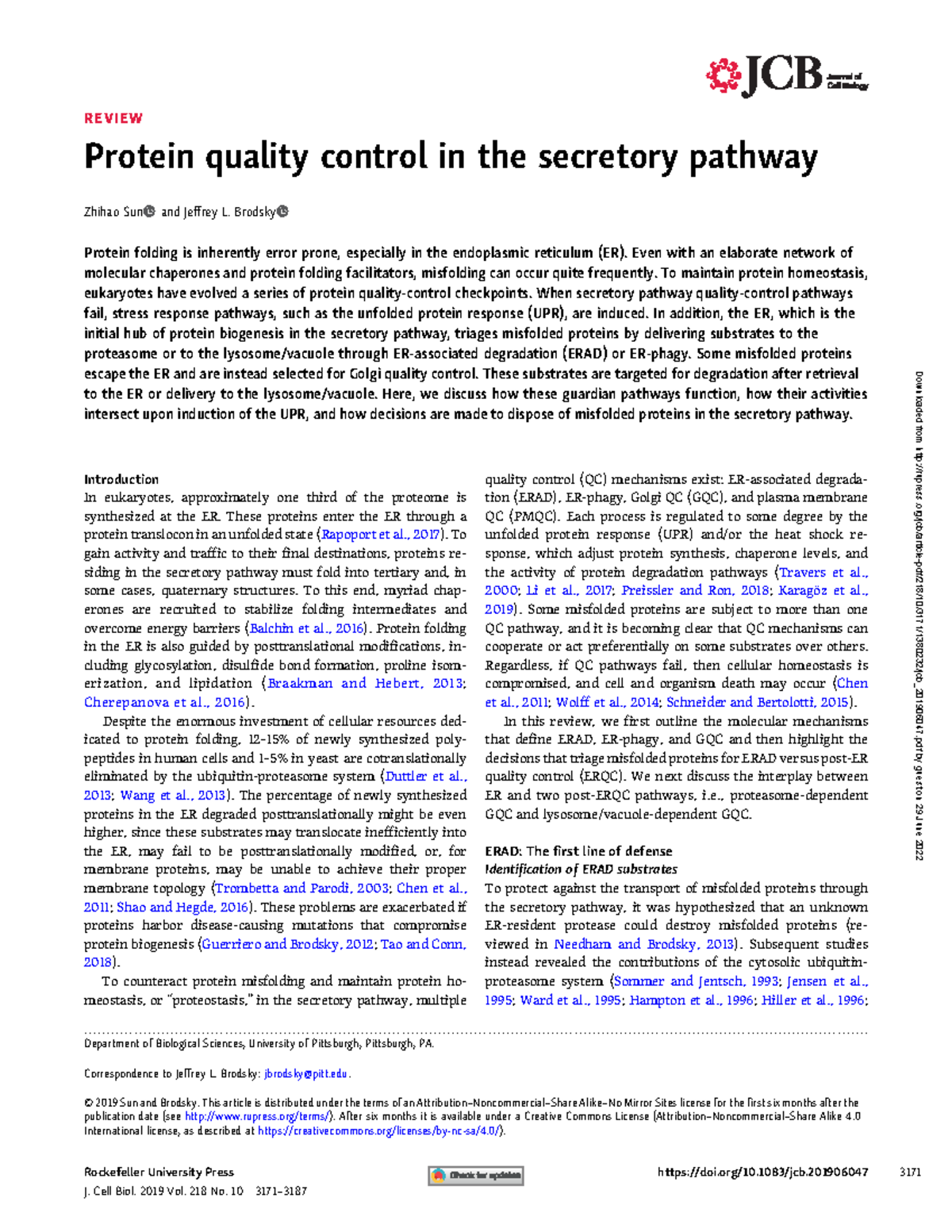 2019 JCB Protein quality control in the secreto REVIEW Protein