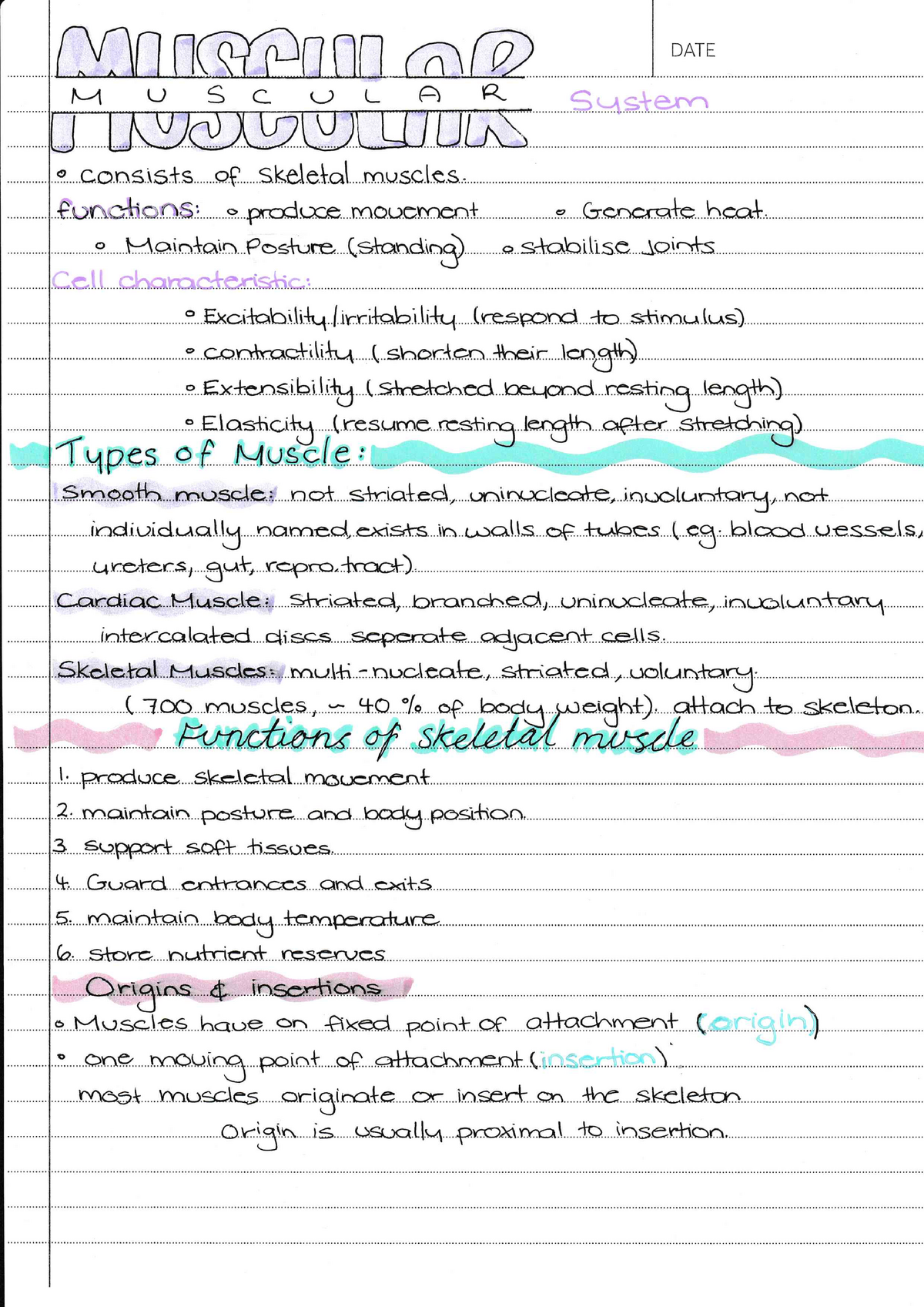 Week 5 Muscular System - Lecture notes 1 - NURS1004 - Studocu