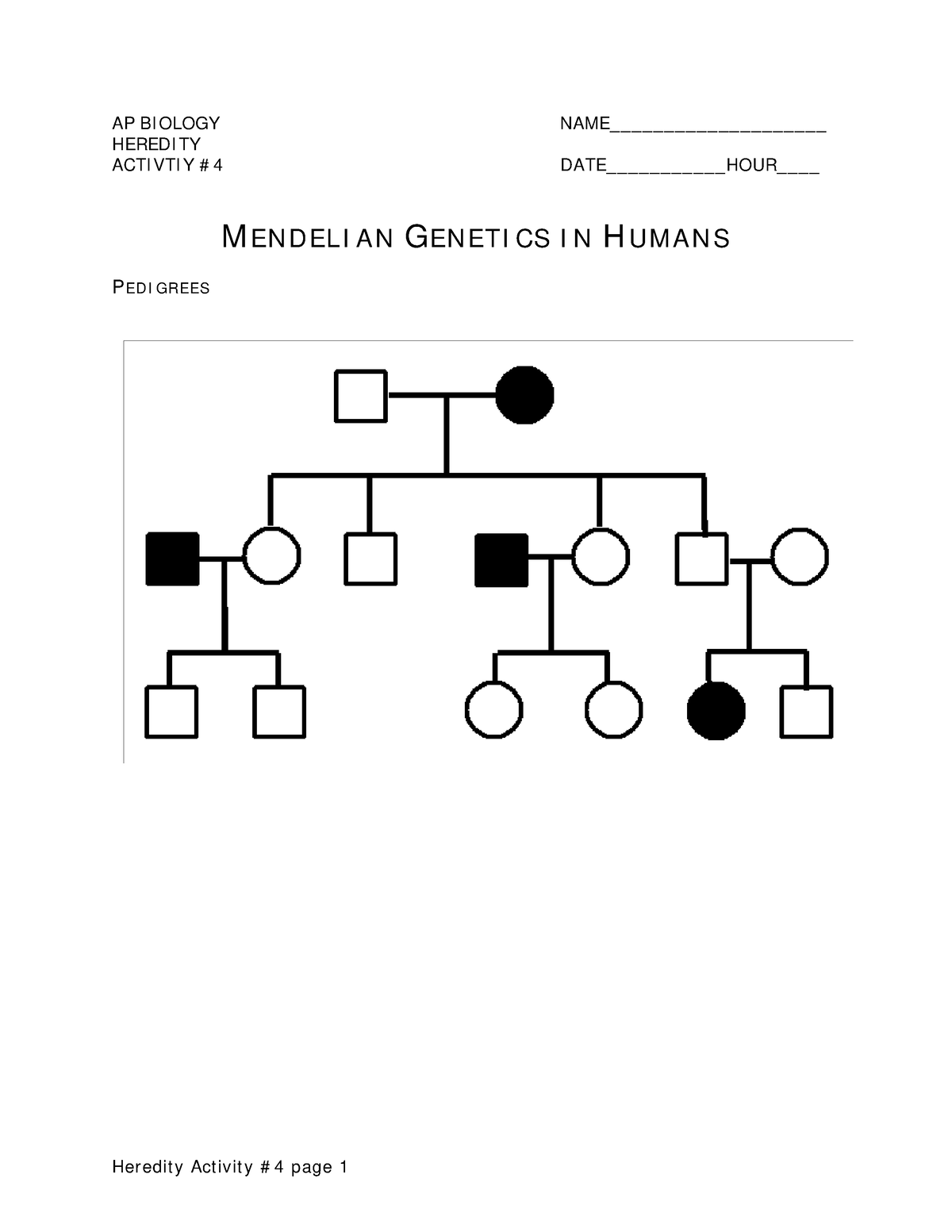 Heredity 4 Mendelian Genetics In Humans Packet Ap Biologyheredity Name 5816