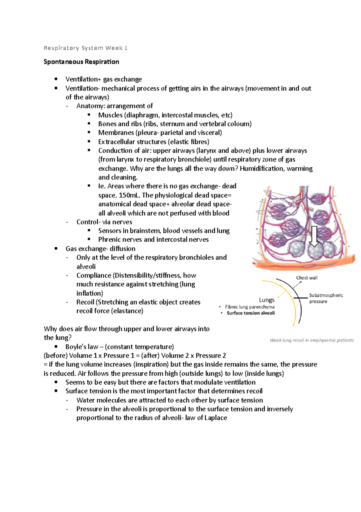 Respiratory Week 1 Summary Notes - Respiratory System Week 1 ...