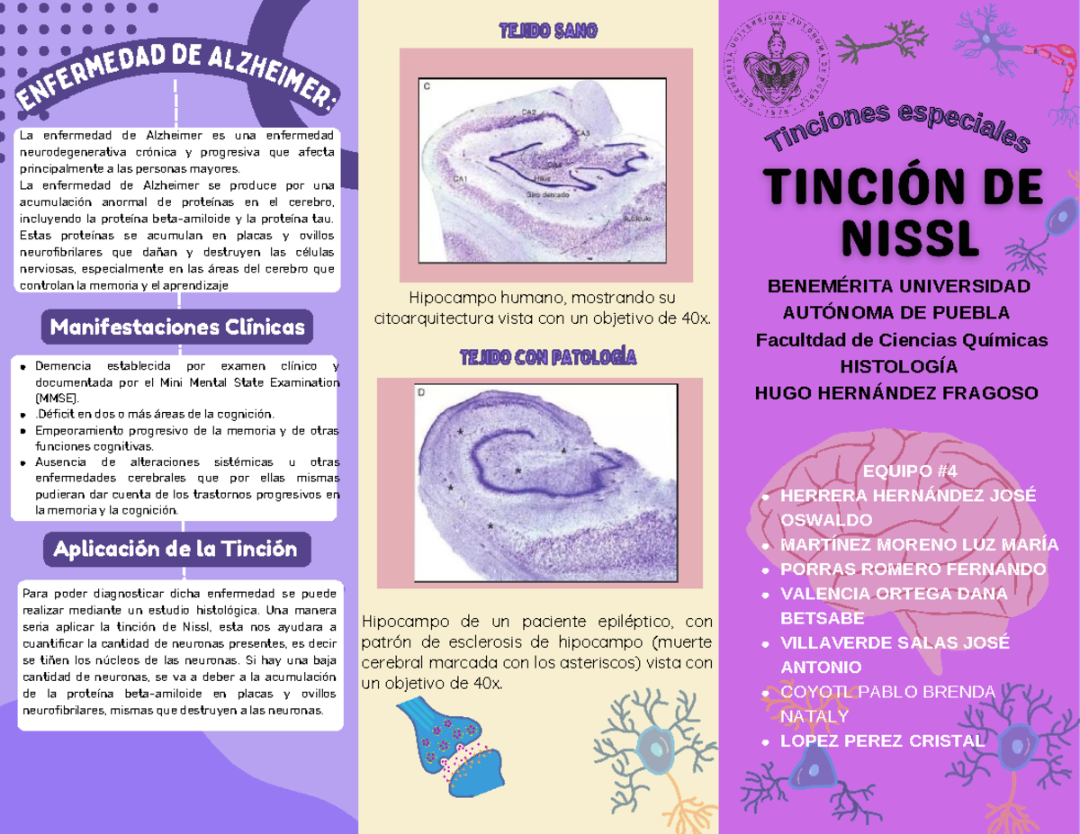 E4 tinción de Nissl X..... En fe rm eda ddeAlz he im e r