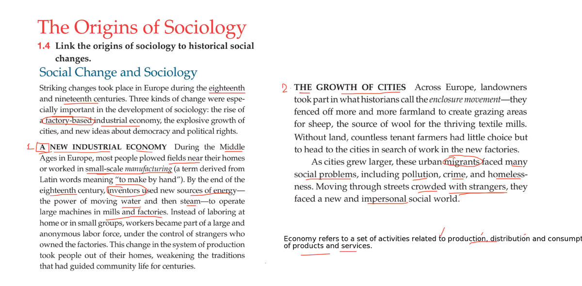 origin of sociology assignment