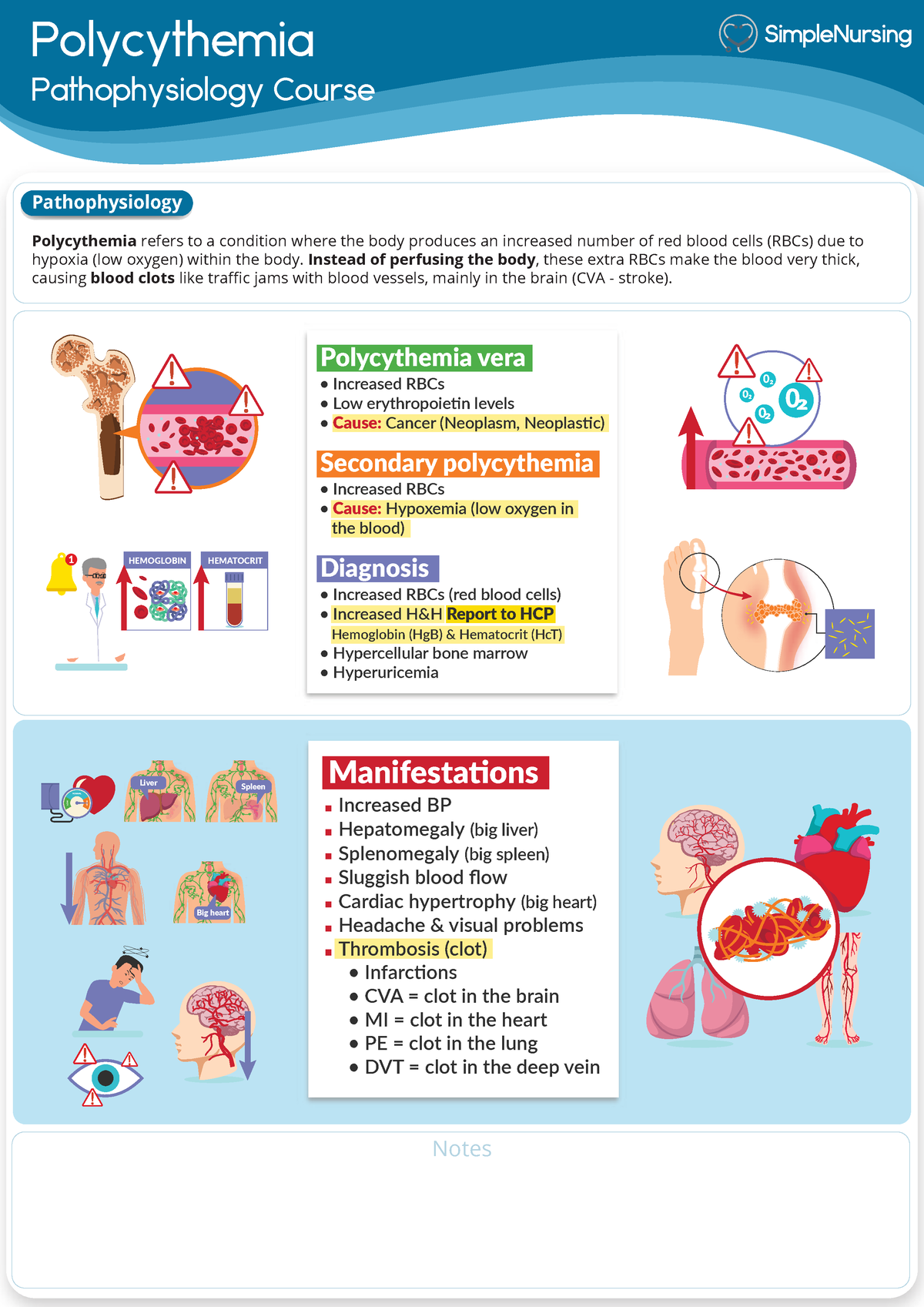 6. Polycythemia - Nursing notes - Polycythemia Pathophysiology Course ...