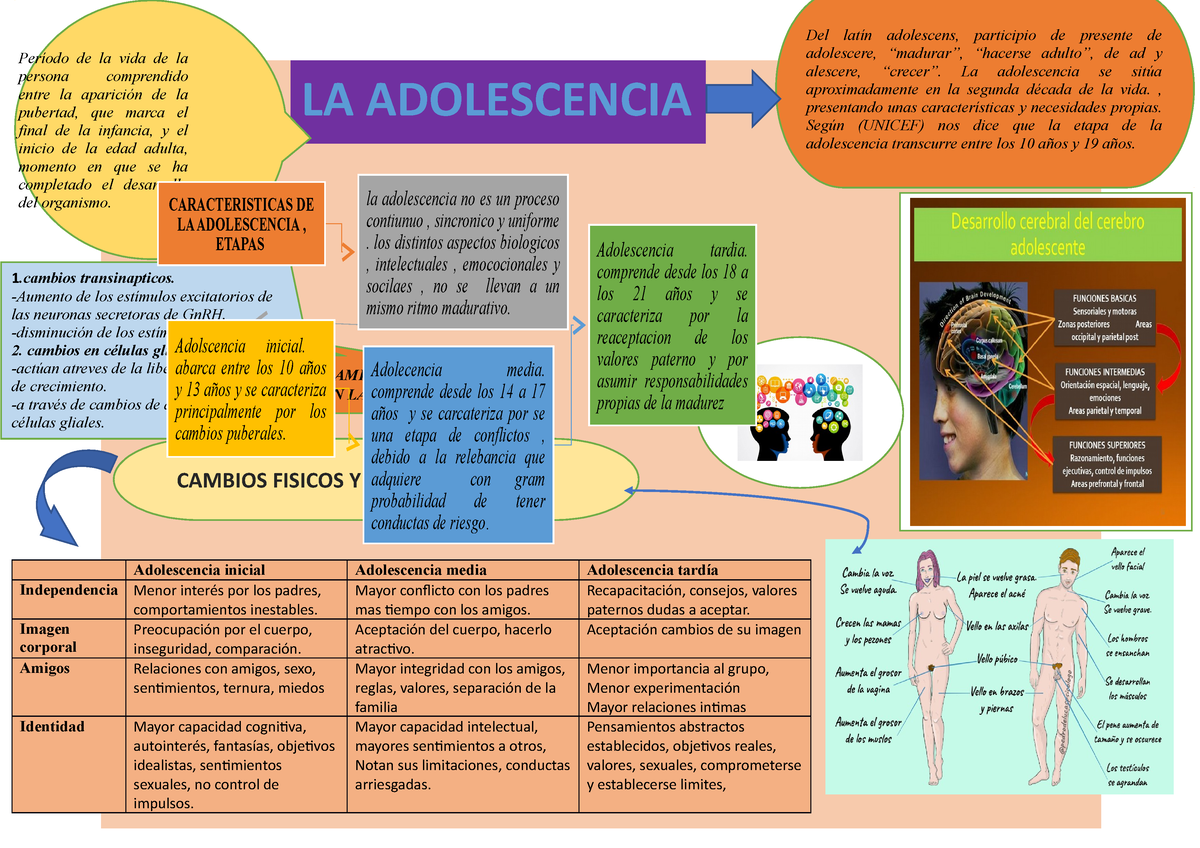 Adolescencia Para Todo El Publico Cambioscacam Cambios Fisicos Y Psicosociales Período De La 9293