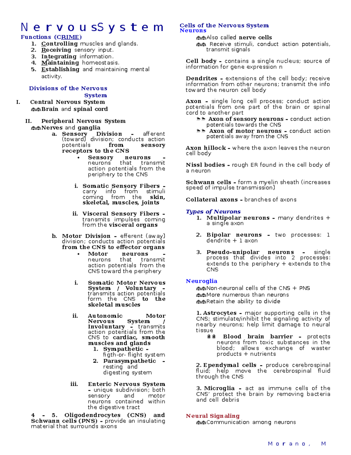 8NervousSystem reviewer M o r a n o , M N e r v o u s S y s t e m