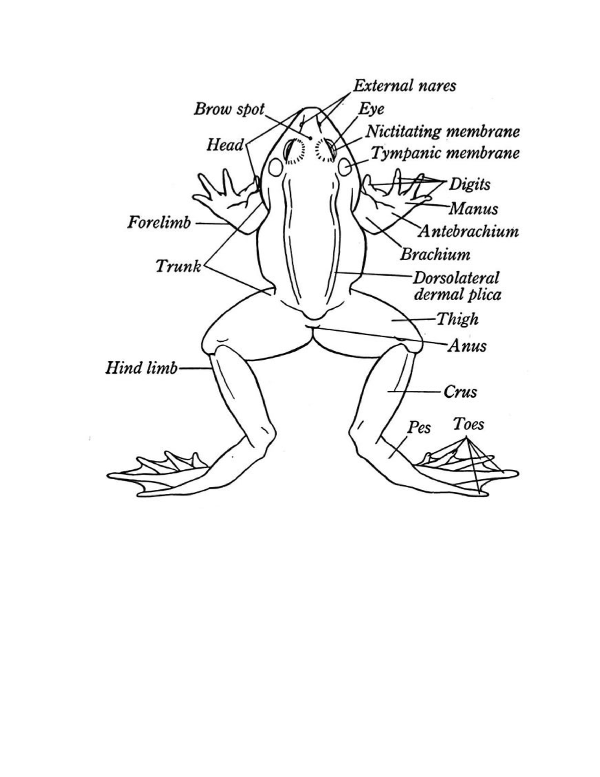 drawing-eme-medical-laboratory-science-studocu