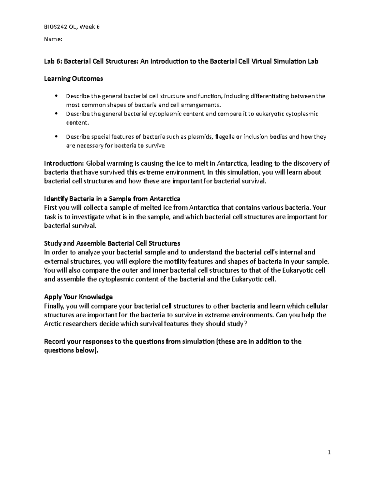 Micro labster Bacterial Structures Name Lab 6 Bacterial Cell