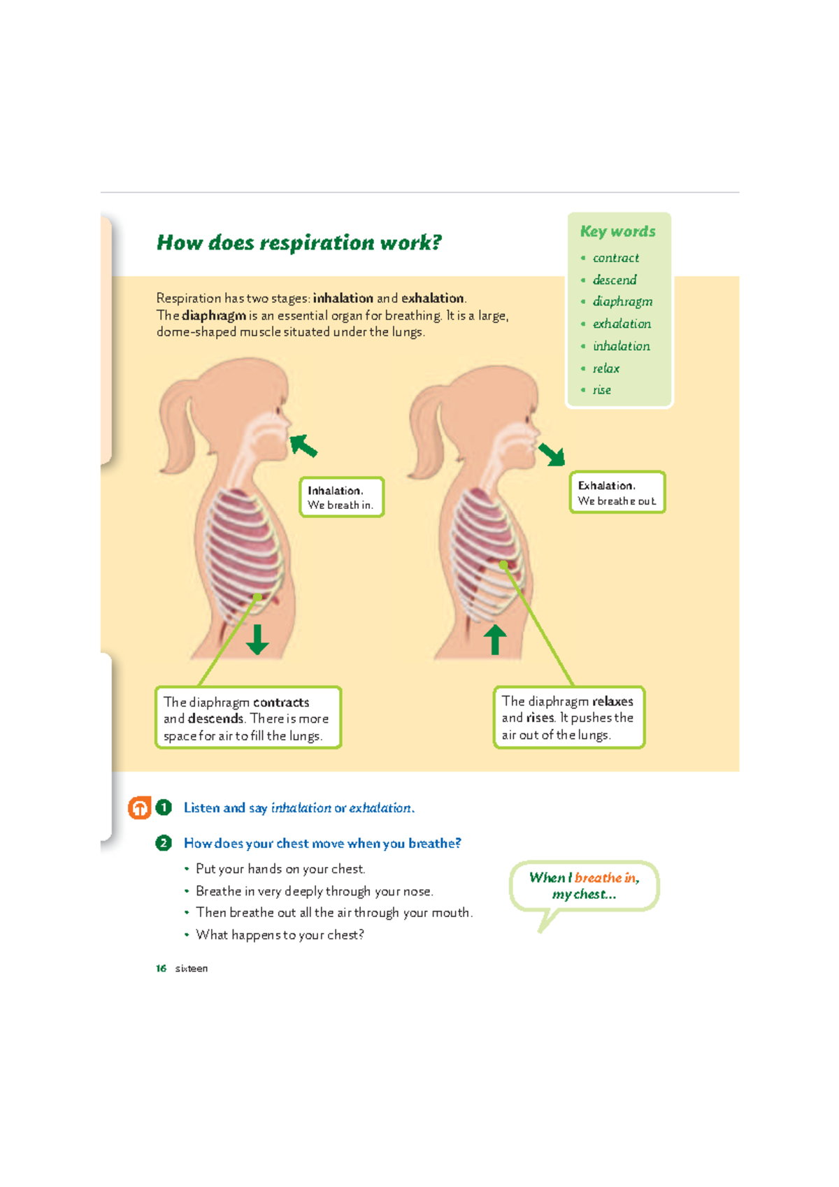5 UNIDAD 5 Listen and say inhalation or exhalation. ! How does your