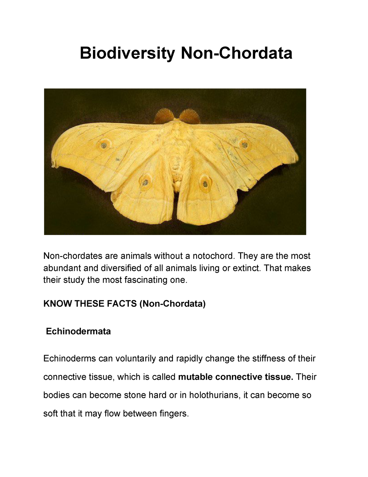 biodiversity-non-chordata-biodiversity-non-chordata-non-chordates-are