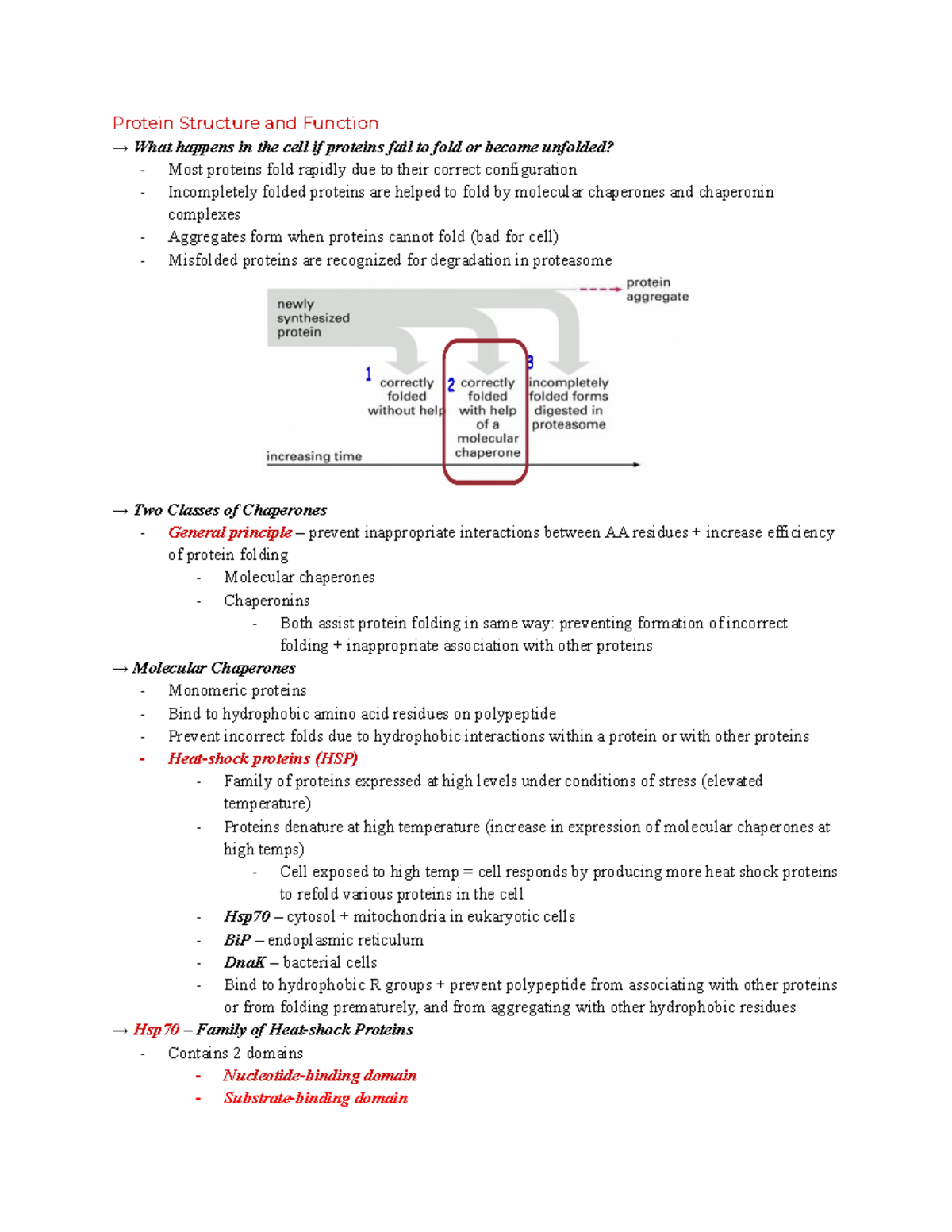 Module 2, Lecture 1 Protein Structure and Function Protein