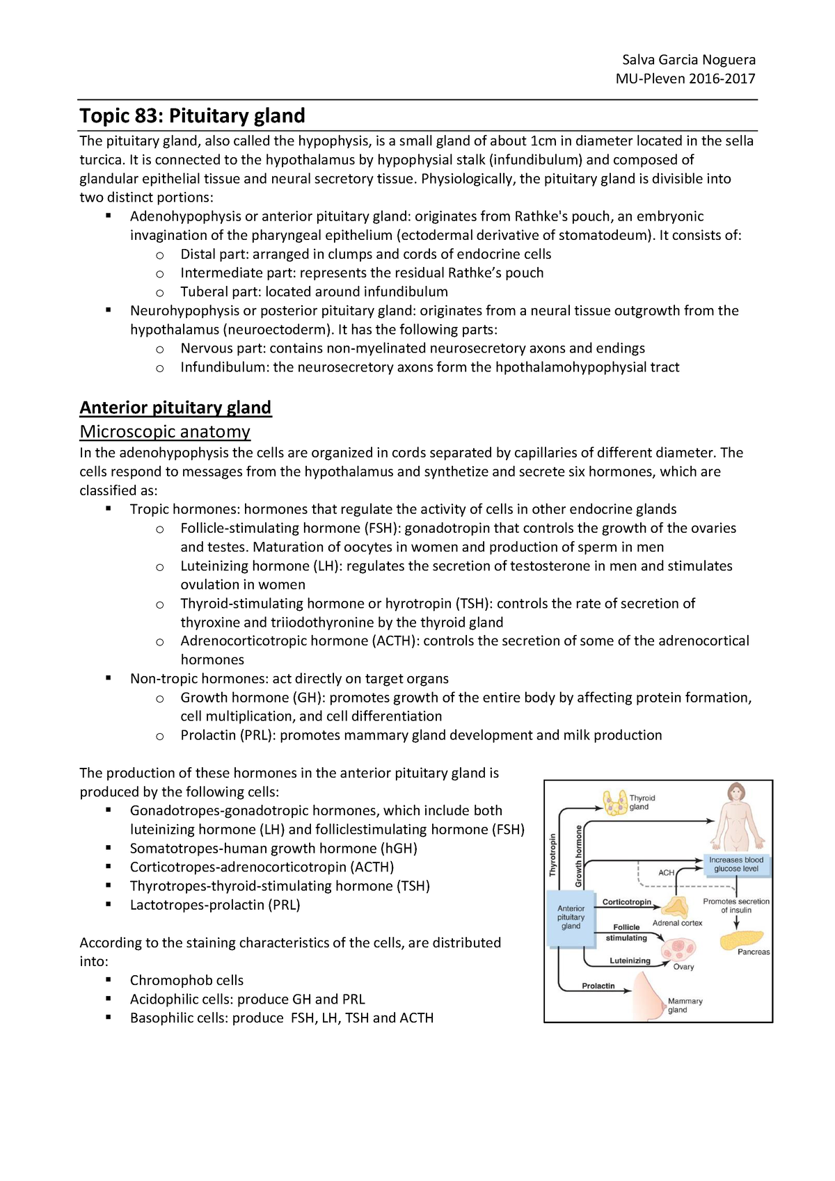 200 word essay about endocrine system