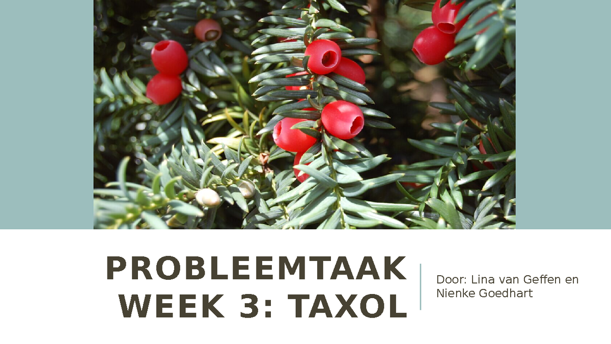 Presentatie Probleemtaak Week 3 Probleemtaak Week 3 Taxol Door Lina