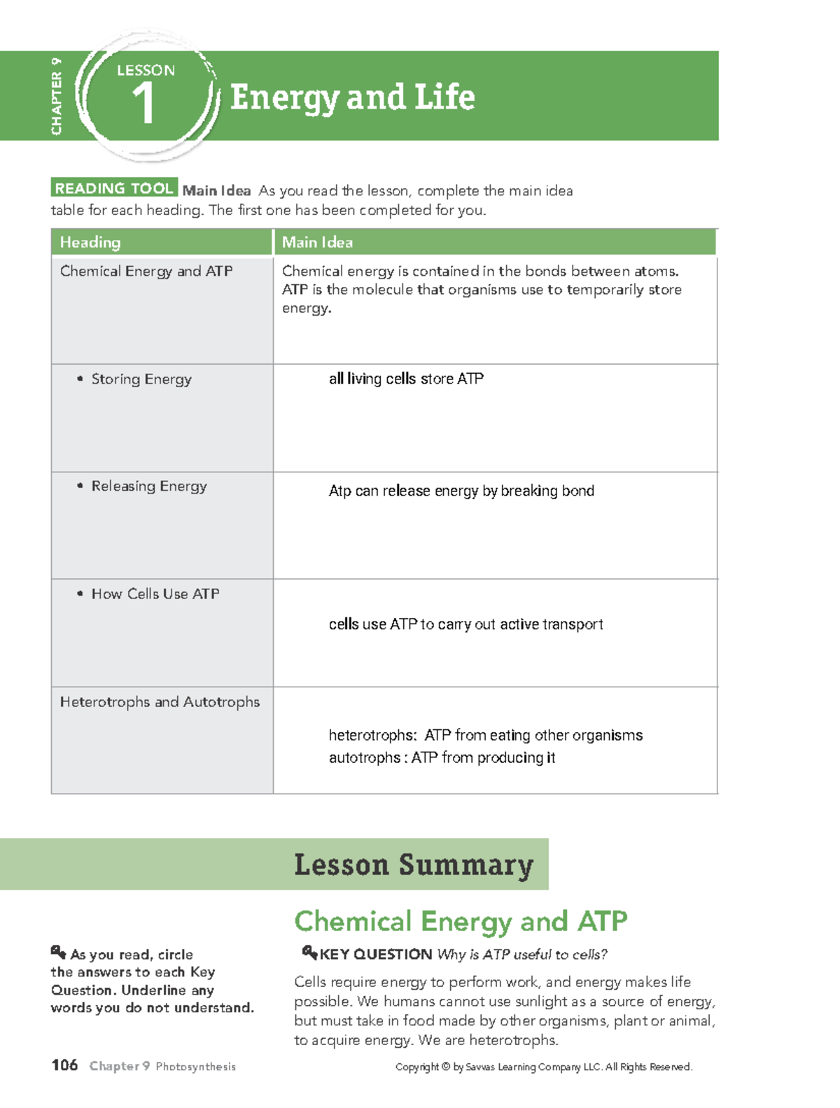Honors Homework Chapter 9 Photosynthesis CHAPTER 9 LESSON 1 Energy and Life Chemical