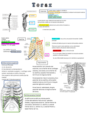 biology grade 10 past papers - NAMIBIA SENIOR SECONDARY CERTIFICATE ...