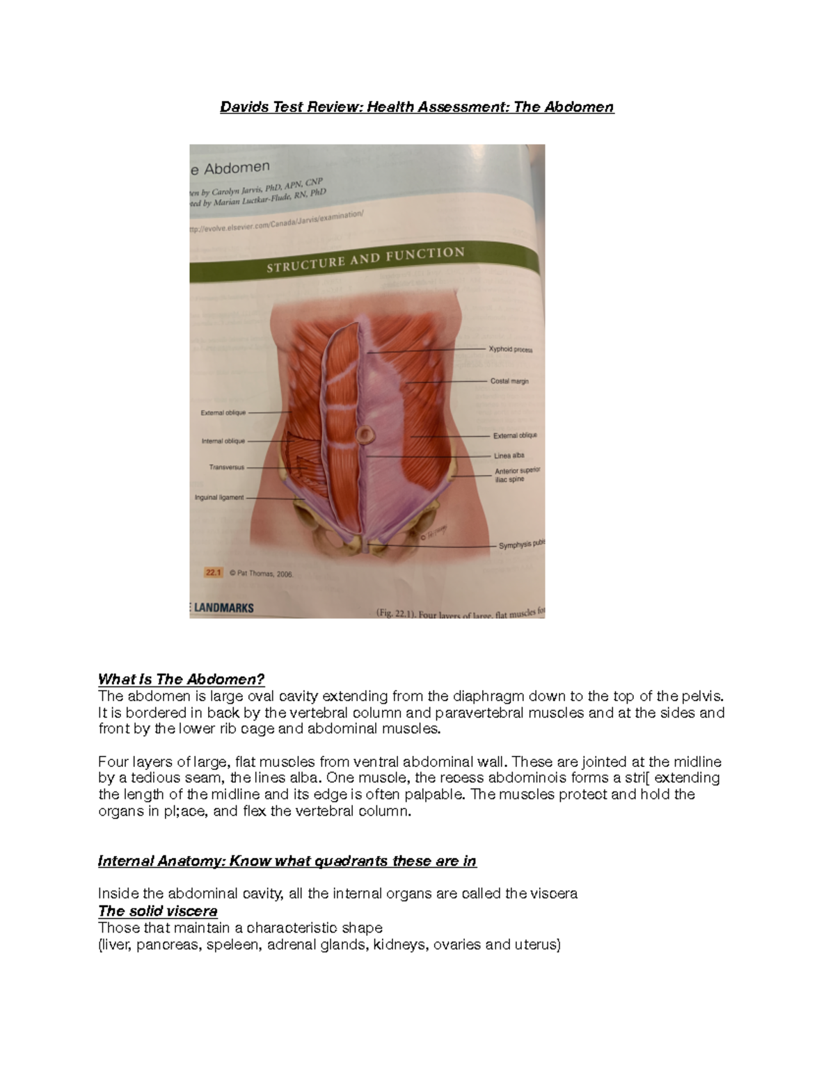 Davids Test: The Abdomen Chapter 22 PDF - Davids Test Review: Health ...