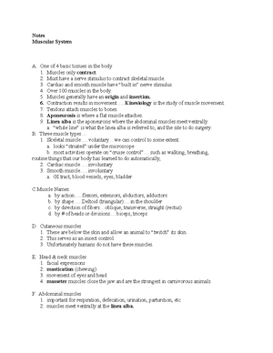 Muscular syst notes - Notes Muscular System A. One of 4 basic tissues ...