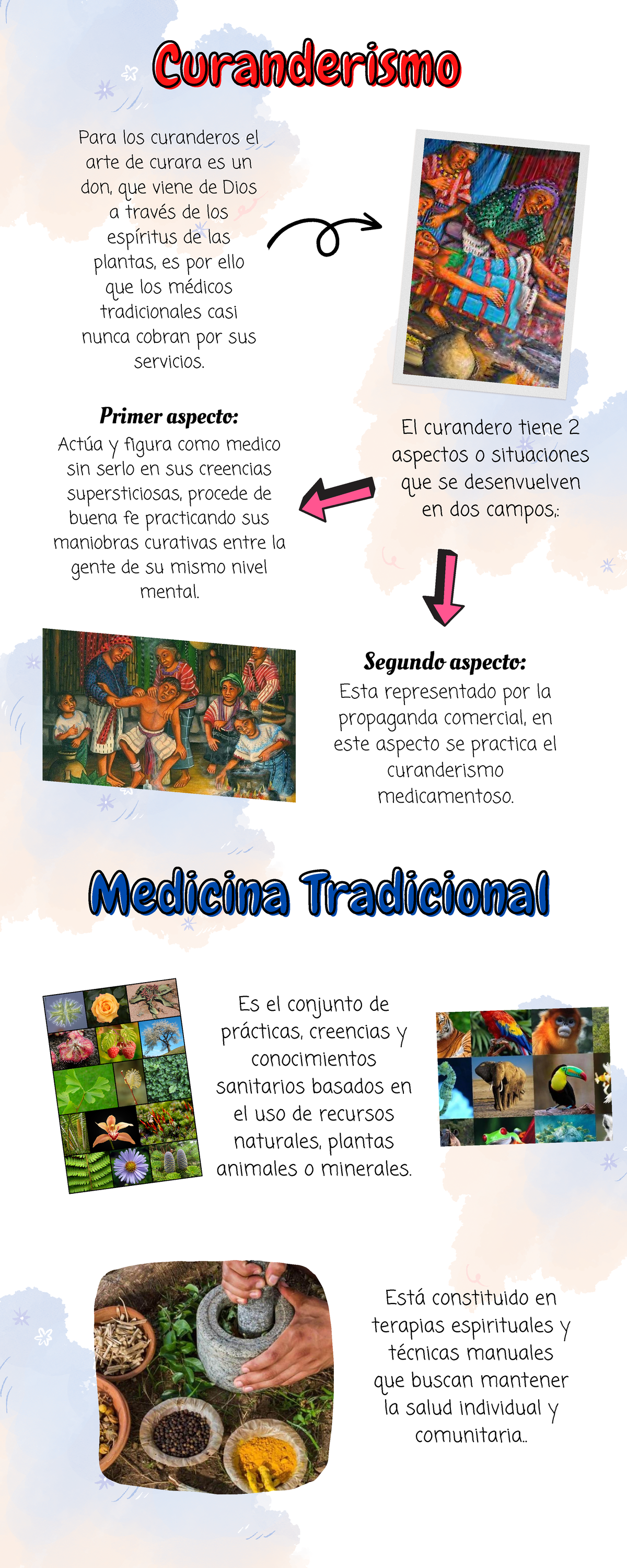 Curanderismo y Medicina Tradicional. Aportes a las ciencias médicas ...
