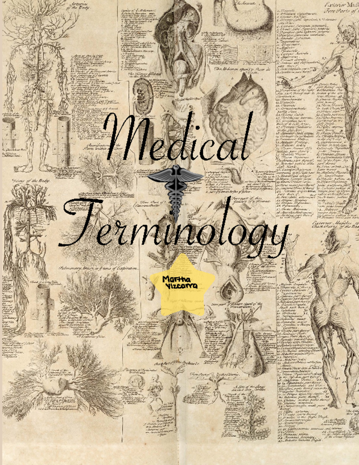 Medical Terminology - lecture notes - Medical Terminology Martha ...