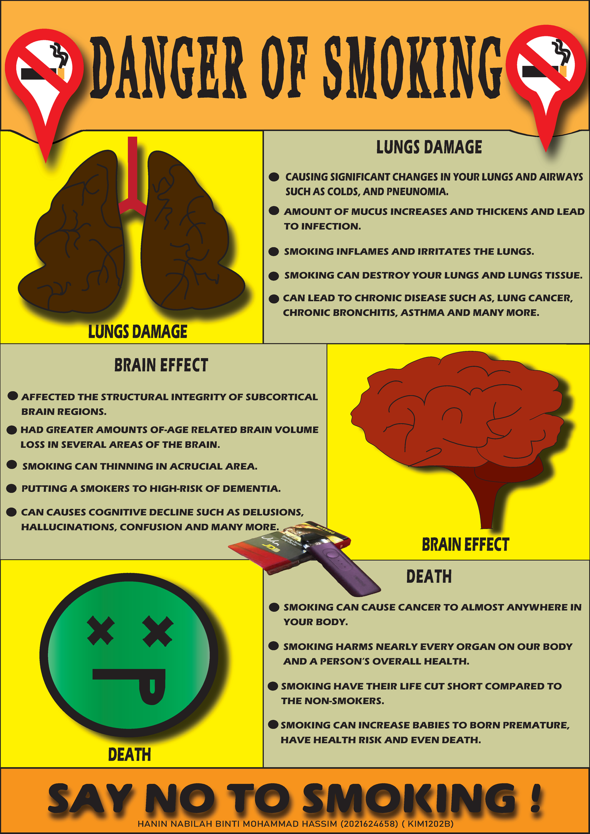 imd214-assignment-1-lungs-damage-brain-effect-death-lungs-damage