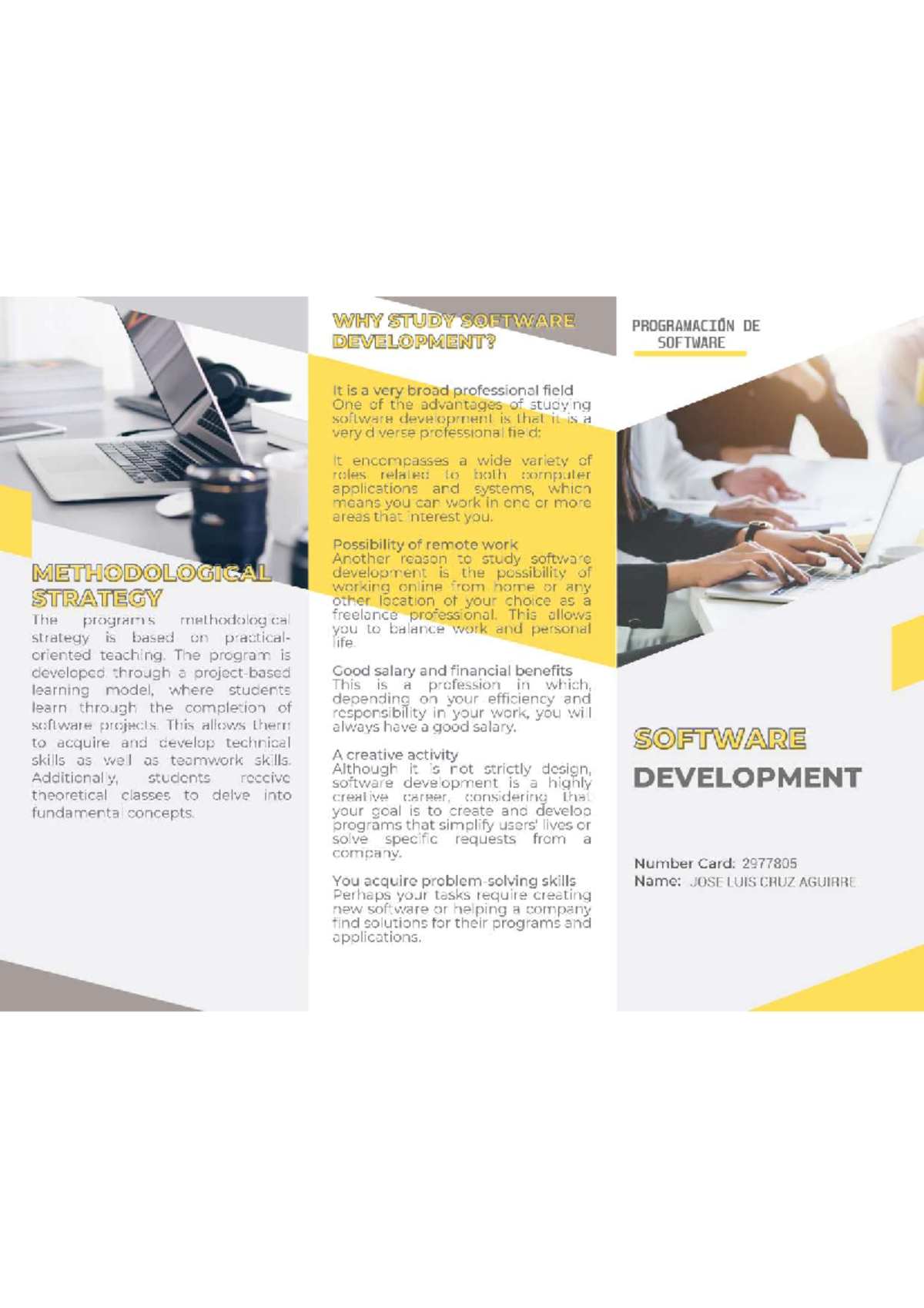 Software analysis and development brochure 2 - WHY STUDY SOFTWARE ...