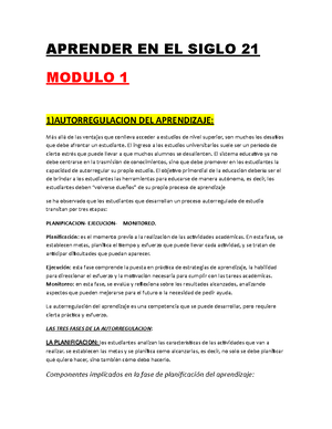 Resumen Aprender Siglo 21 Modulo 1 Y 2 - Aprender En El Siglo 21 ...