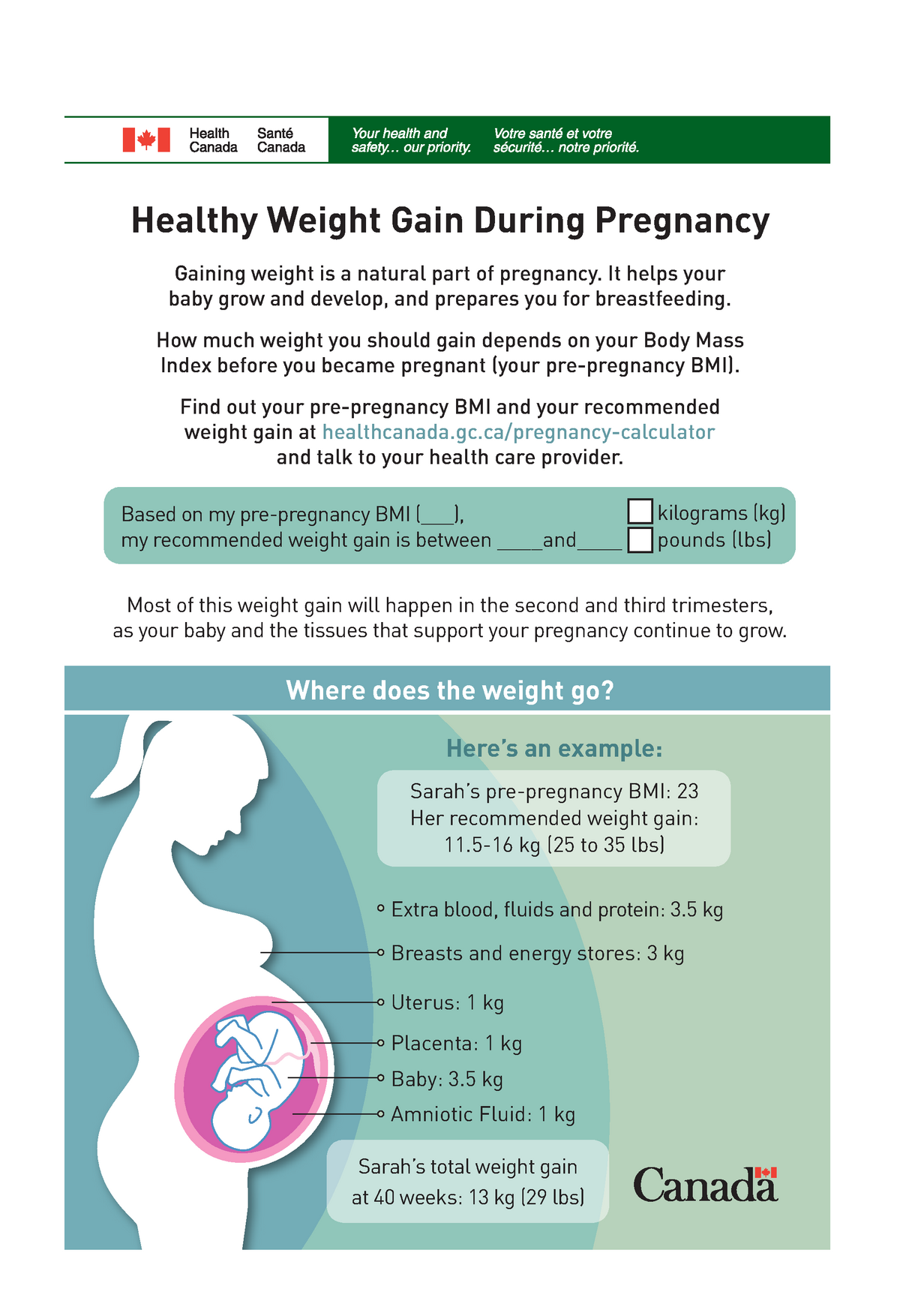 Pregnancy Weight Gain Chart Canada