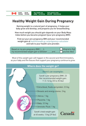 Bmi 23 Pregnancy Weight Gain