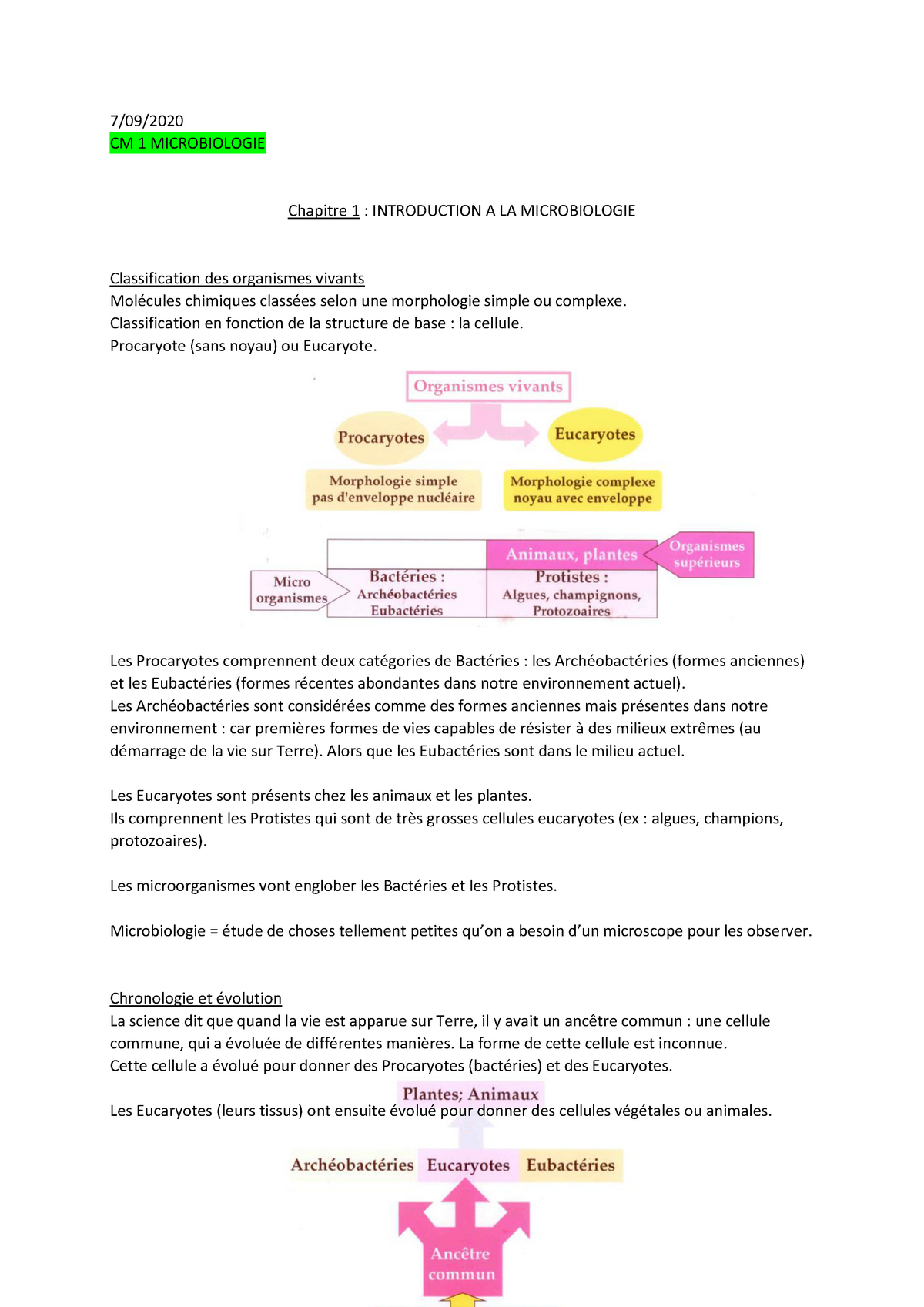 CM1 Microbiologie - 7/09/ CM 1 MICROBIOLOGIE Chapitre 1 : INTRODUCTION ...