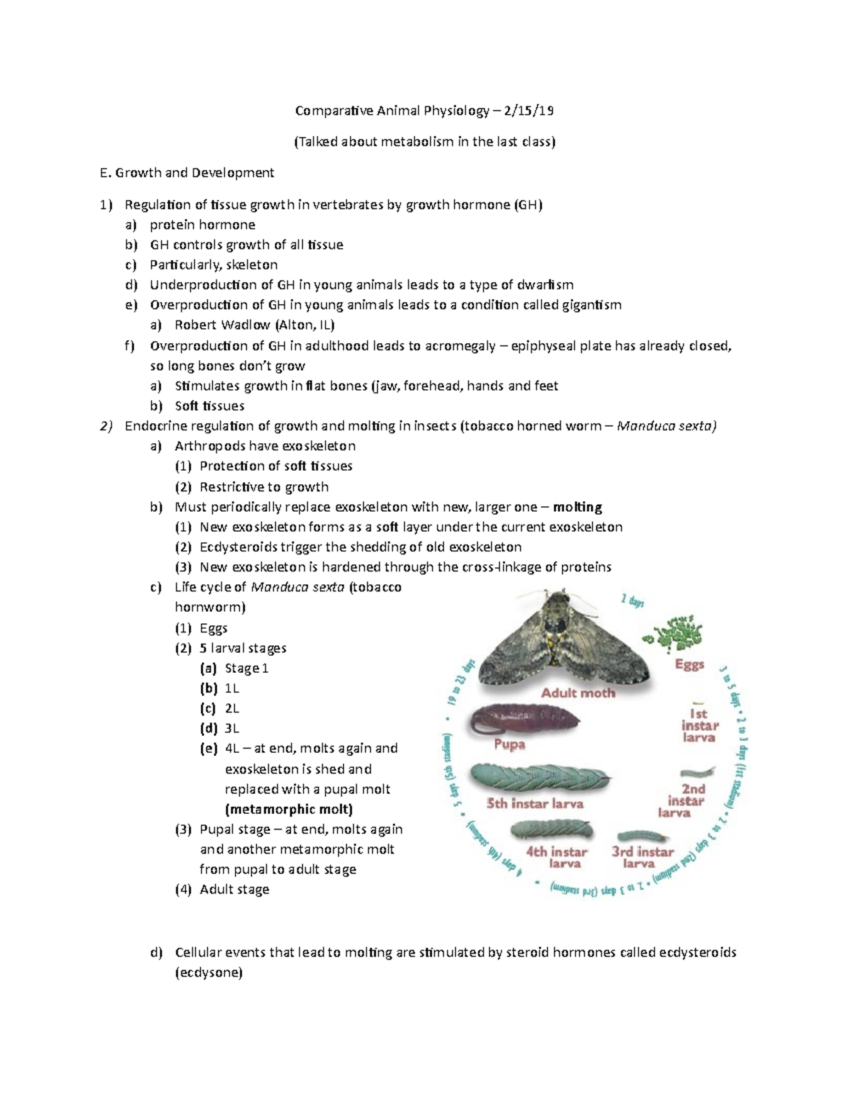 comparative-animal-physiology-2-15-19-comparative-animal-physiology