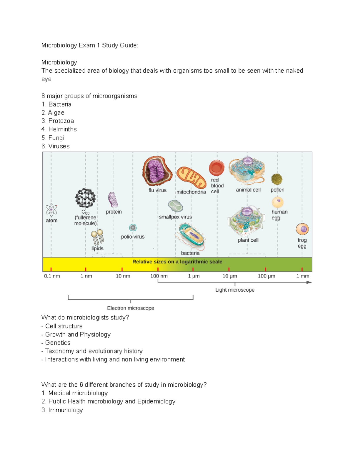 Microbiology Exam 1 Study Guide - Microbiology Exam 1 Study Guide ...