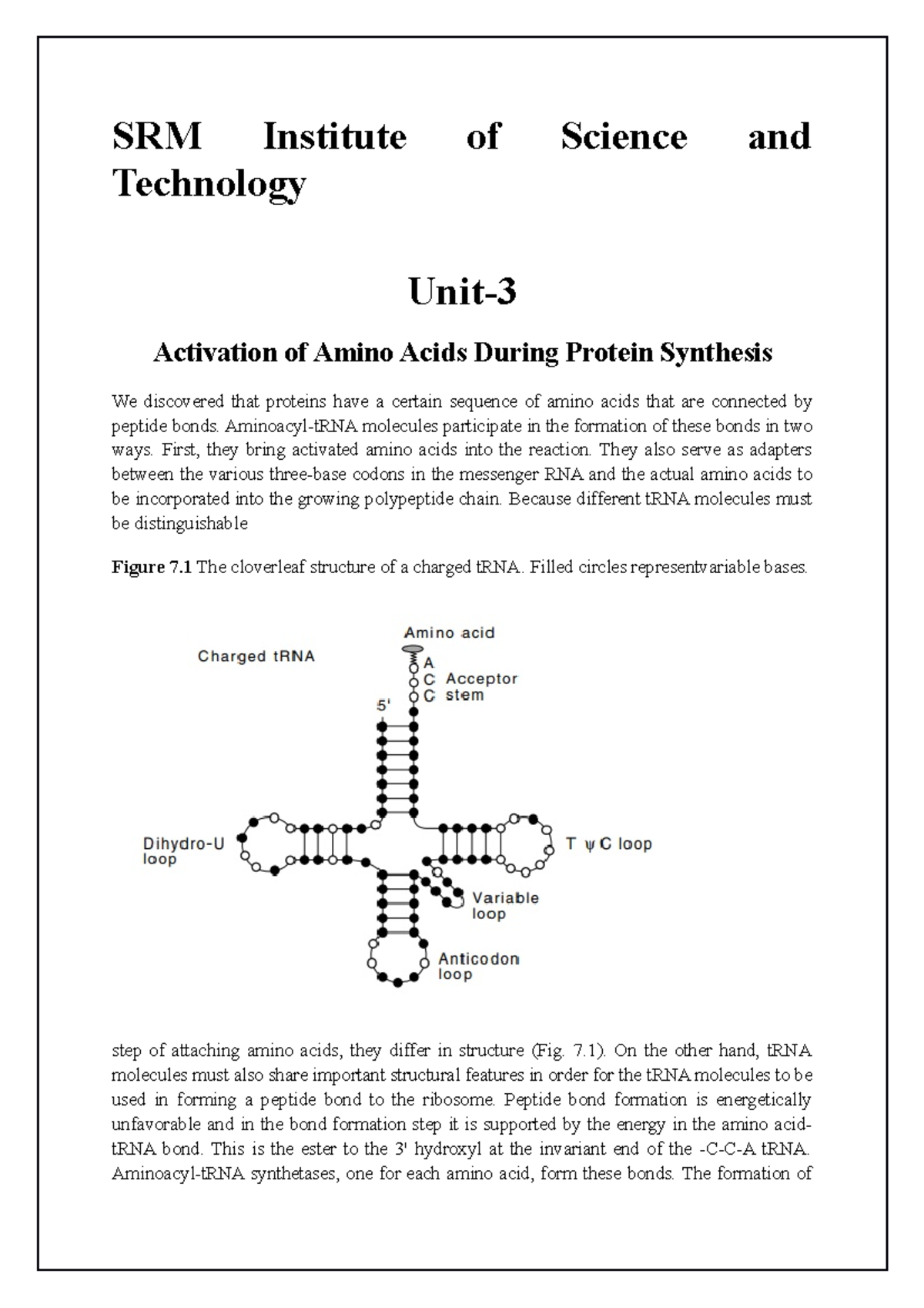 Activation of Amino Acids During Protein Synthesis SRM Institute of