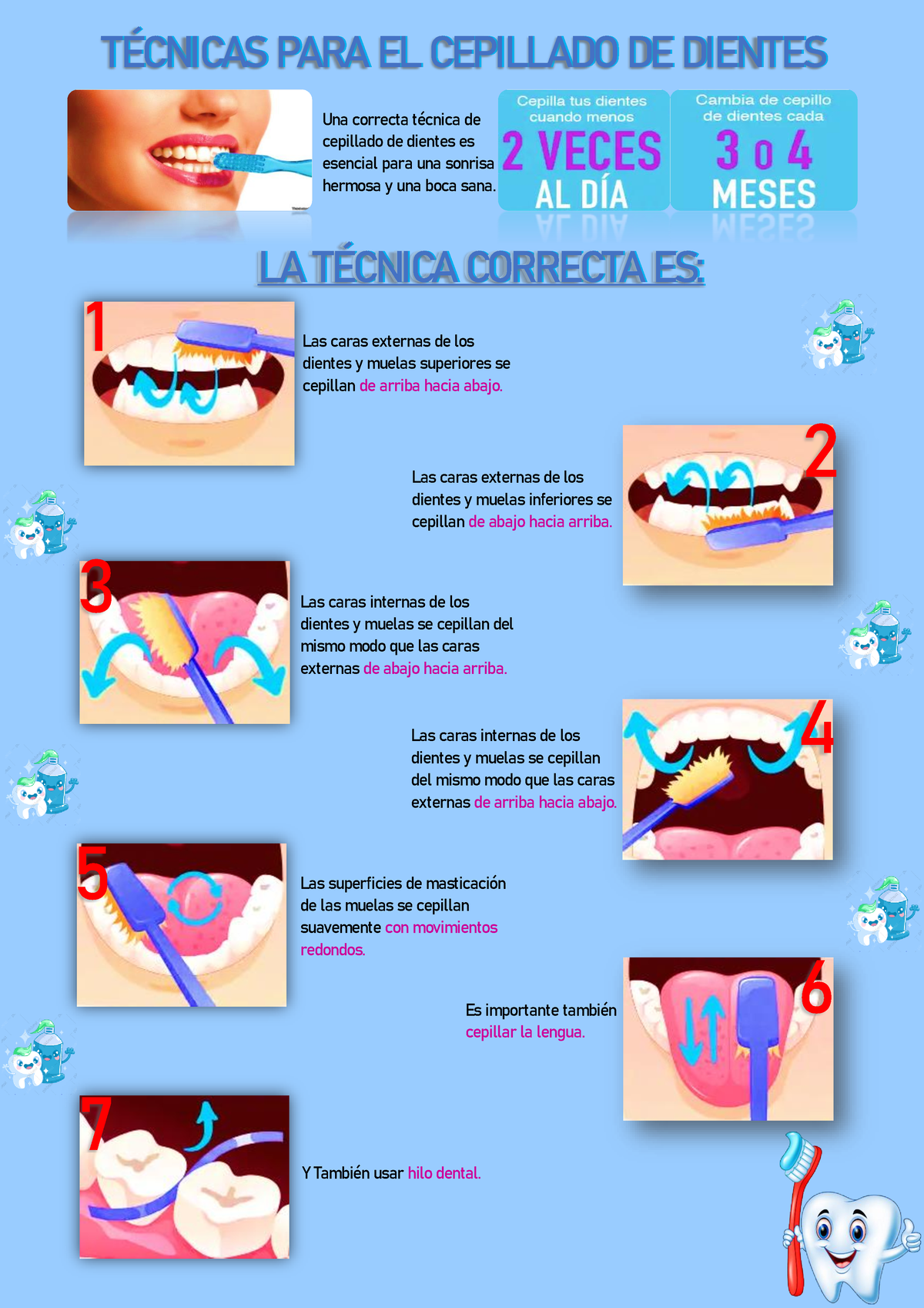 Técnicas PARA EL Cepillado DE Dientes (1)-2 - Una Correcta Técnica De ...