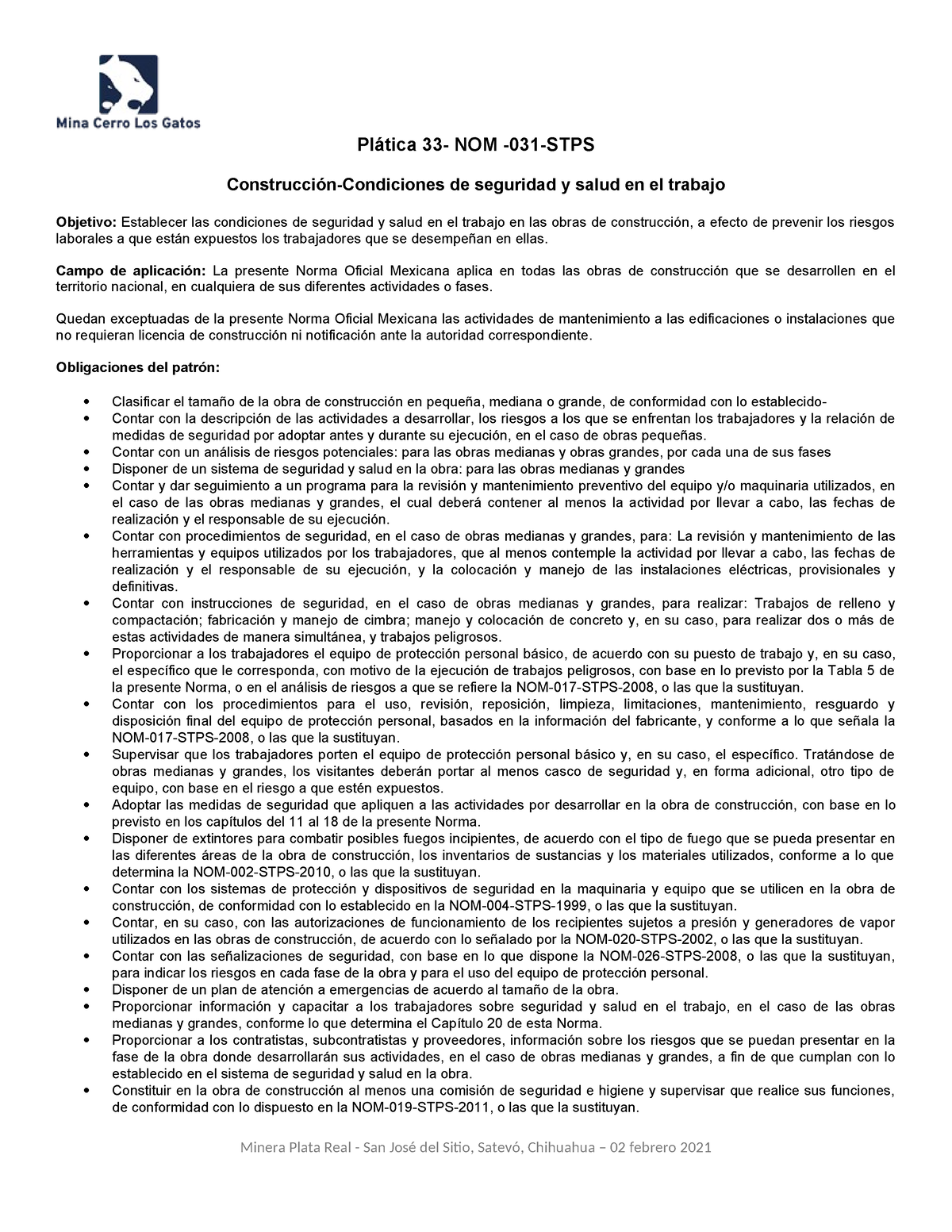 Plática 33- NOM-031-STPS - Plática 33- NOM -031-STPS Construcción ...