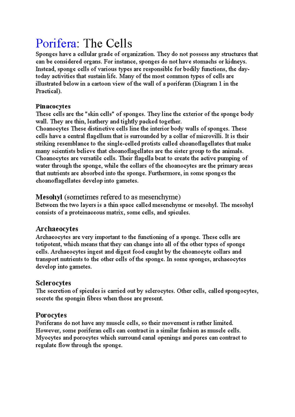 Reading resource Sponge cell layers and types Porifera The Cells Sponges have a cellular