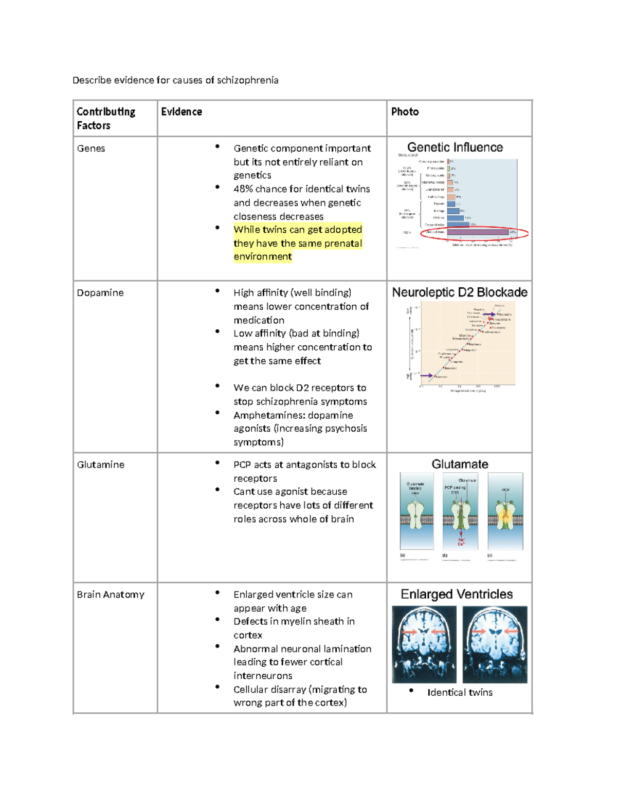 Describe evidence for causes of schizophrenia - Describe evidence for ...