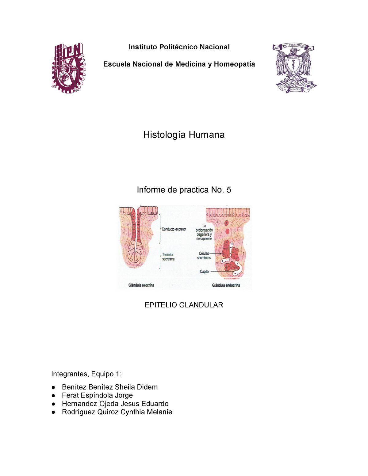 informe de practica no 5 epitelio glandular instituto politécnico