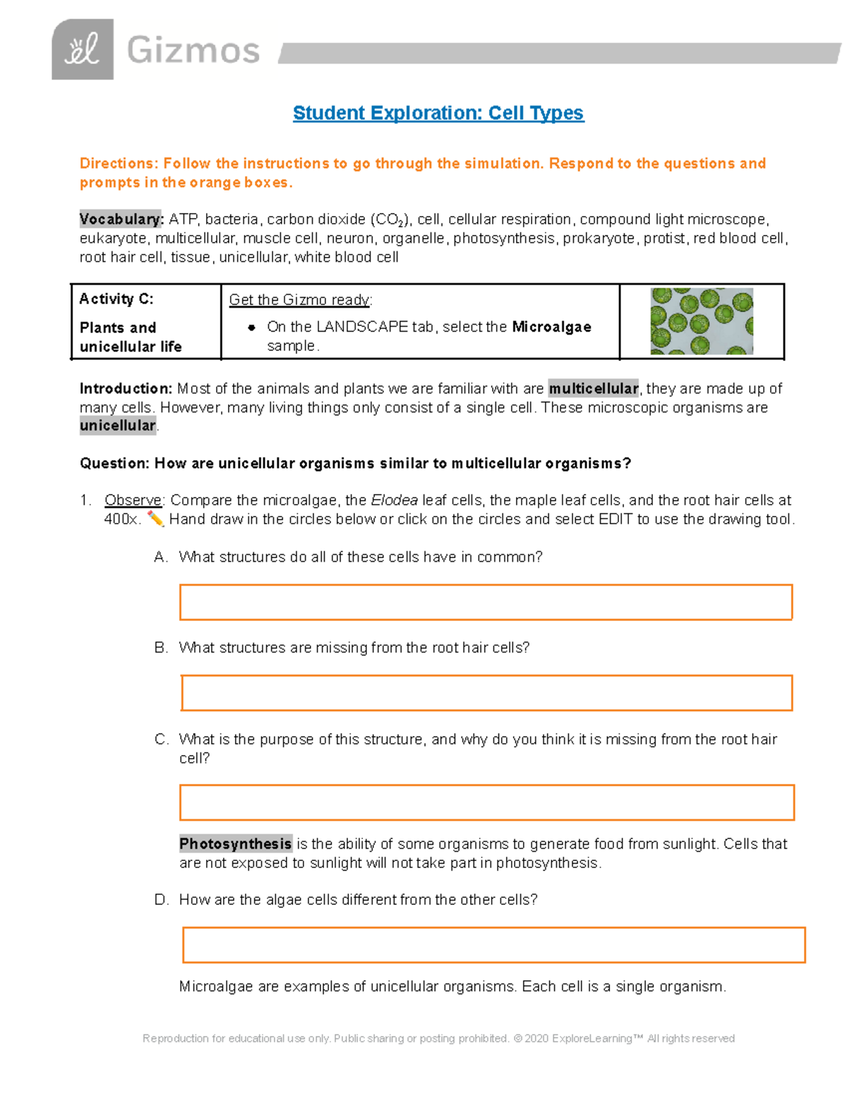 - Day 2: Gizmos: Cell Types - Student Exploration: Cell Types ...