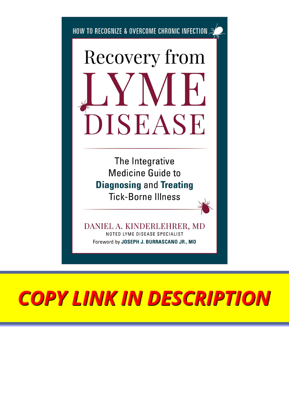 Download PDF Recovery from Lyme Disease The Integrative Medicine Guide ...