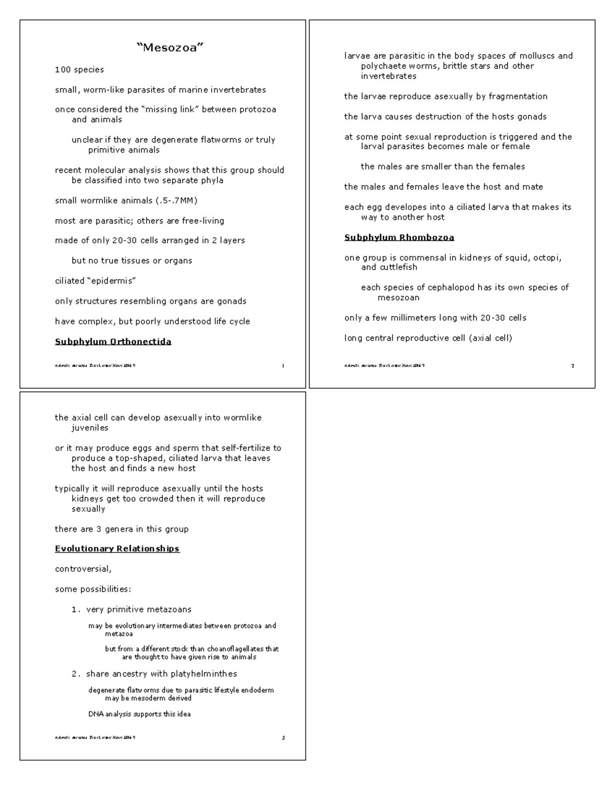 Phylum Mesozoa - General Zoology Lecture Notes and Handout - Animals ...