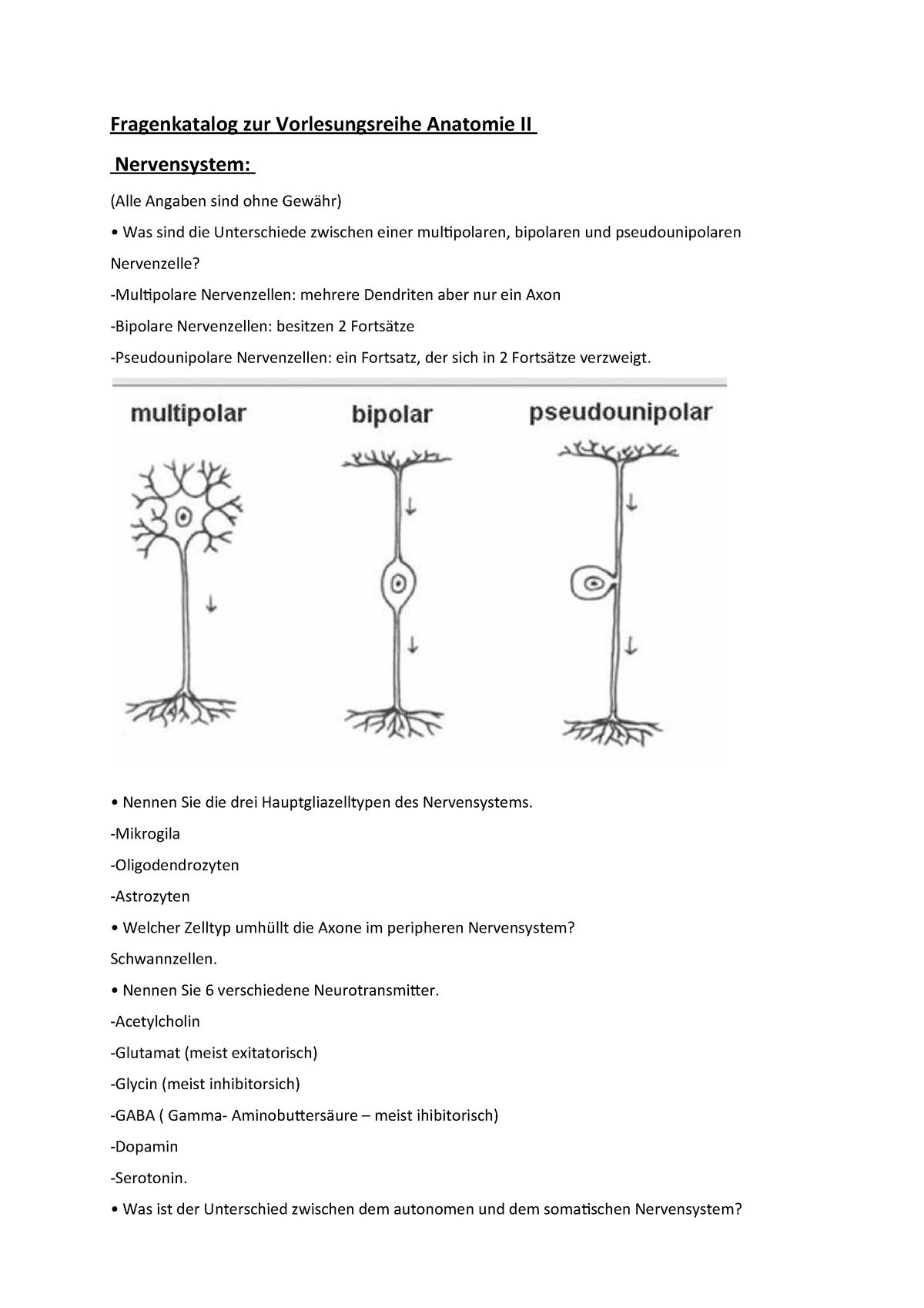 Zusammenfassung Fragenkatalog Zur Vorlesungsreihe Anatomie Ii Nervensystem Studocu