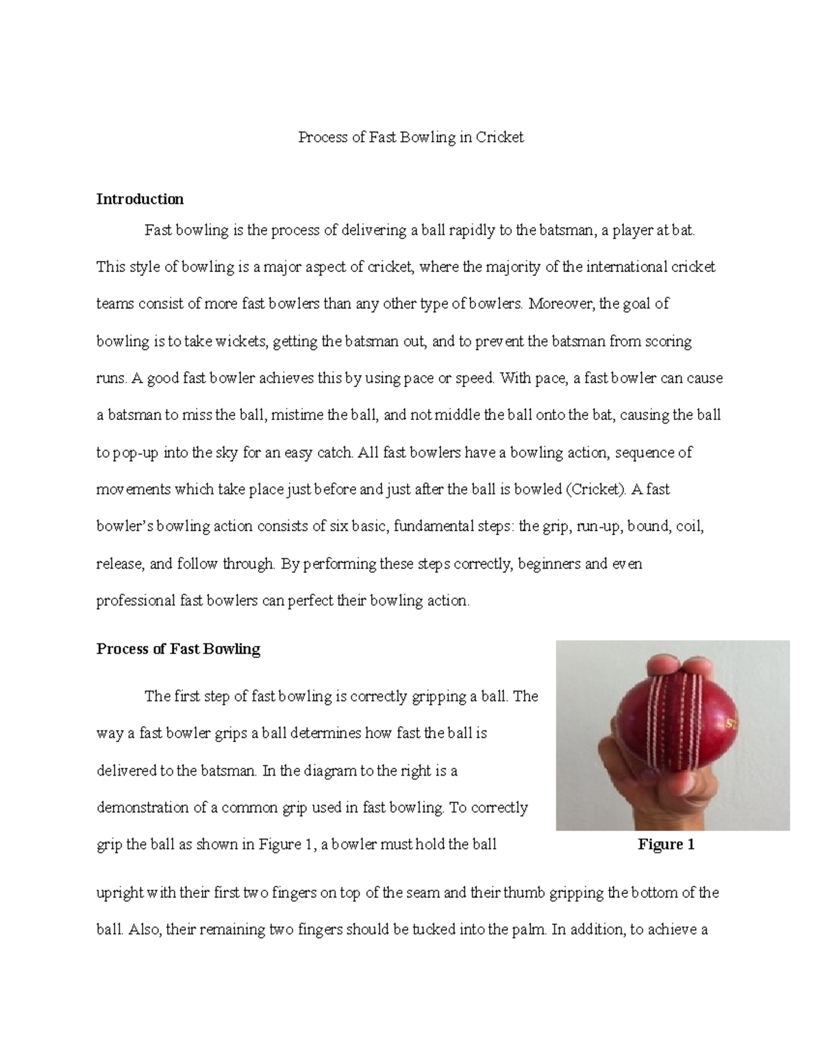 Process of Fast Bowling in Cricket - Studocu