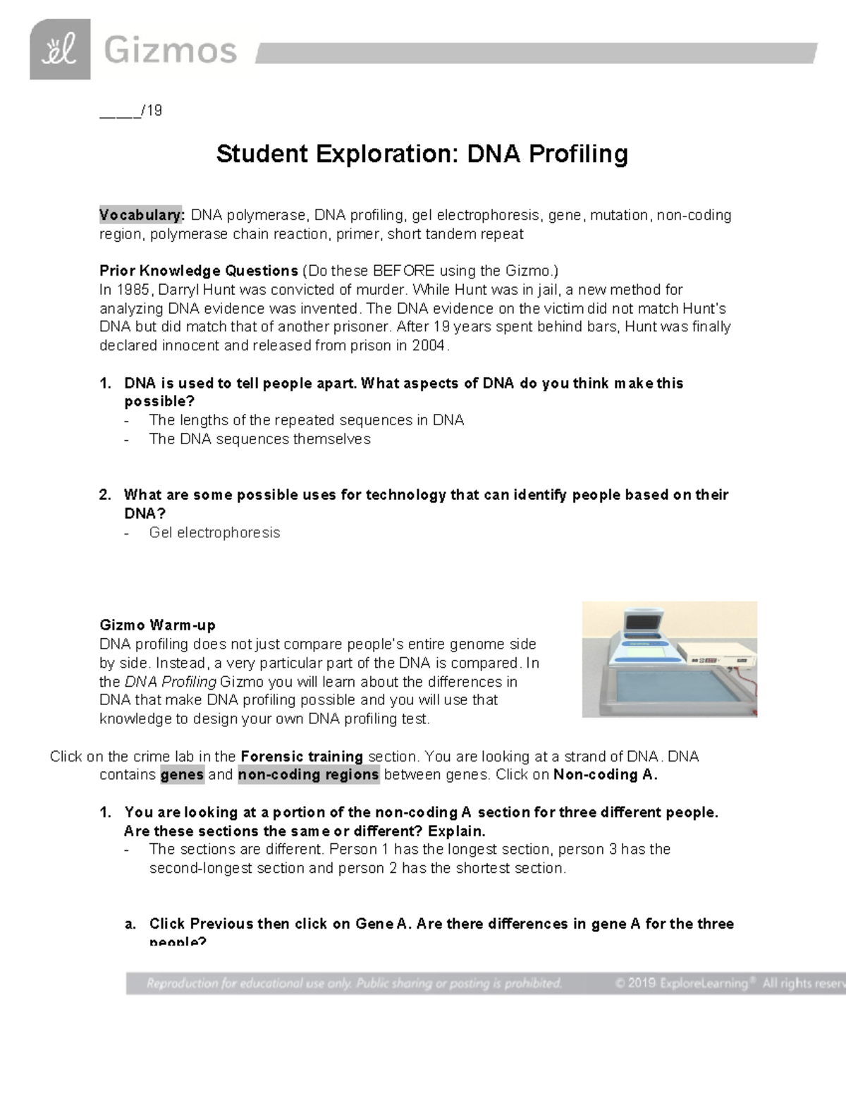 Gizmo DNA Profiling Dna Student Exploration DNA Profiling Vocabulary DNA Studocu