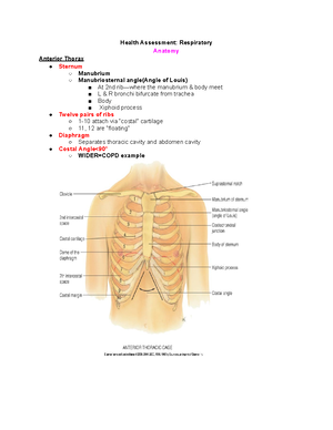 Exam 4 Study Guide - NU - Health Assessment Exam 4 - Study Guide The ...