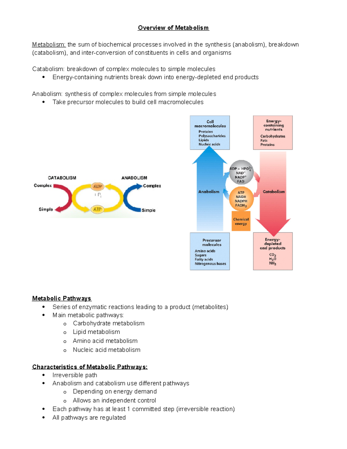 Lecture 1 - Principles of Metabolism - Overview of Metabolism ...