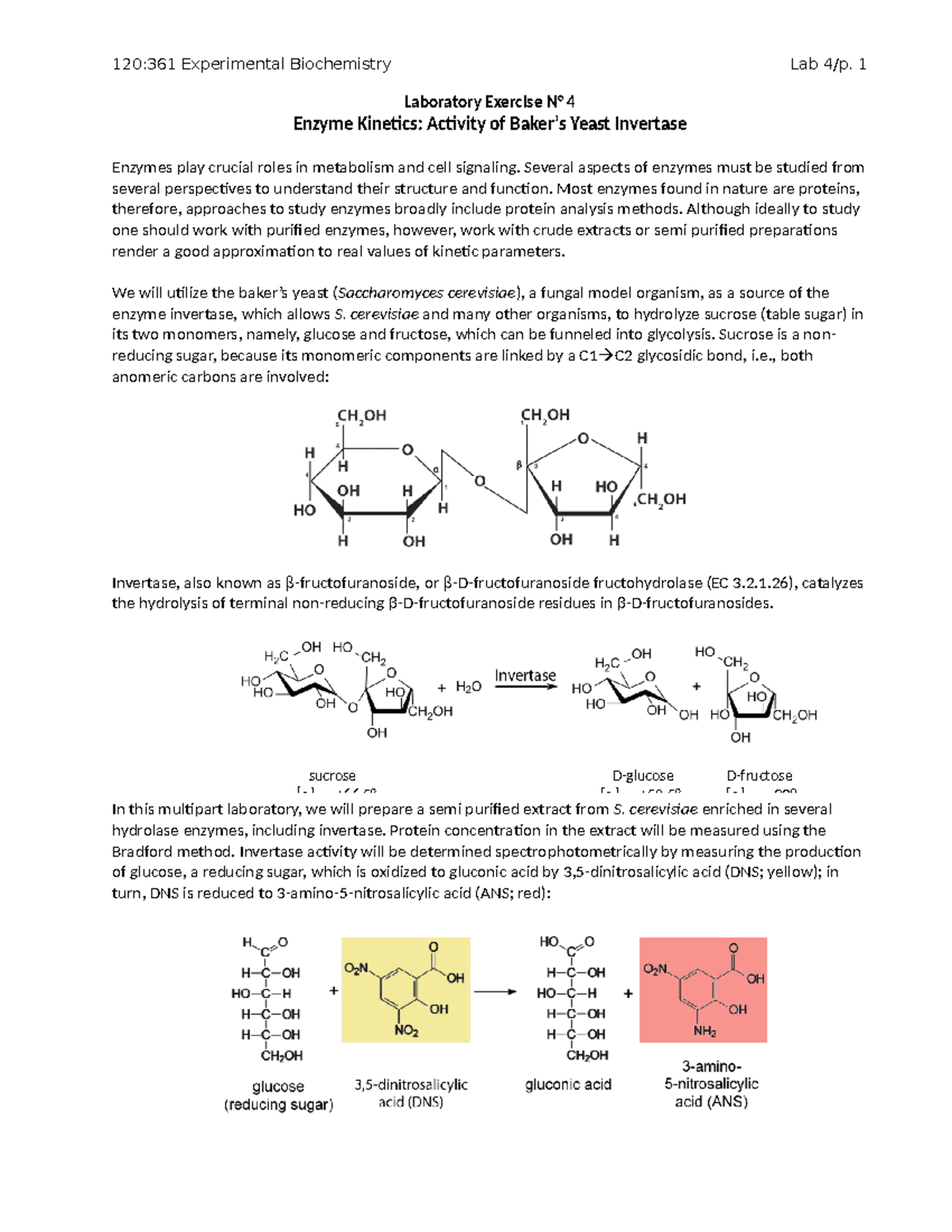 Lab 4 procedure Laboratory Exercise N° 4 Enzyme Activity of