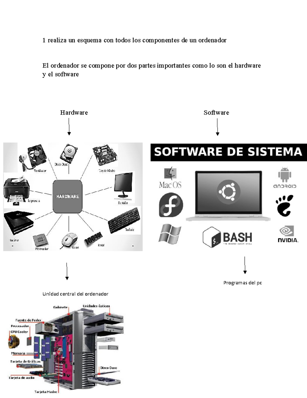 1 realiza un esquema con todos los componentes de un ordenador - Los ...